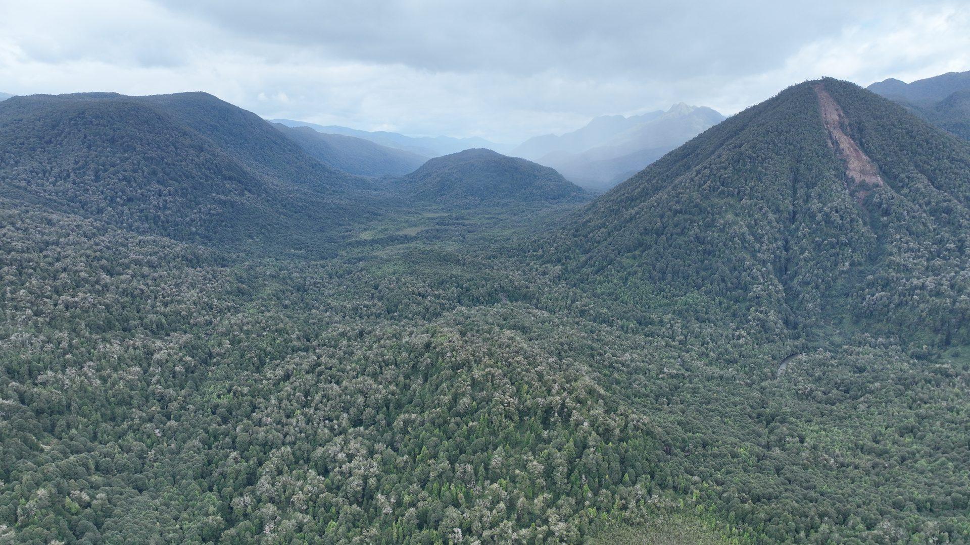 Forested volcanic cone with a landslide scar, Aysén region