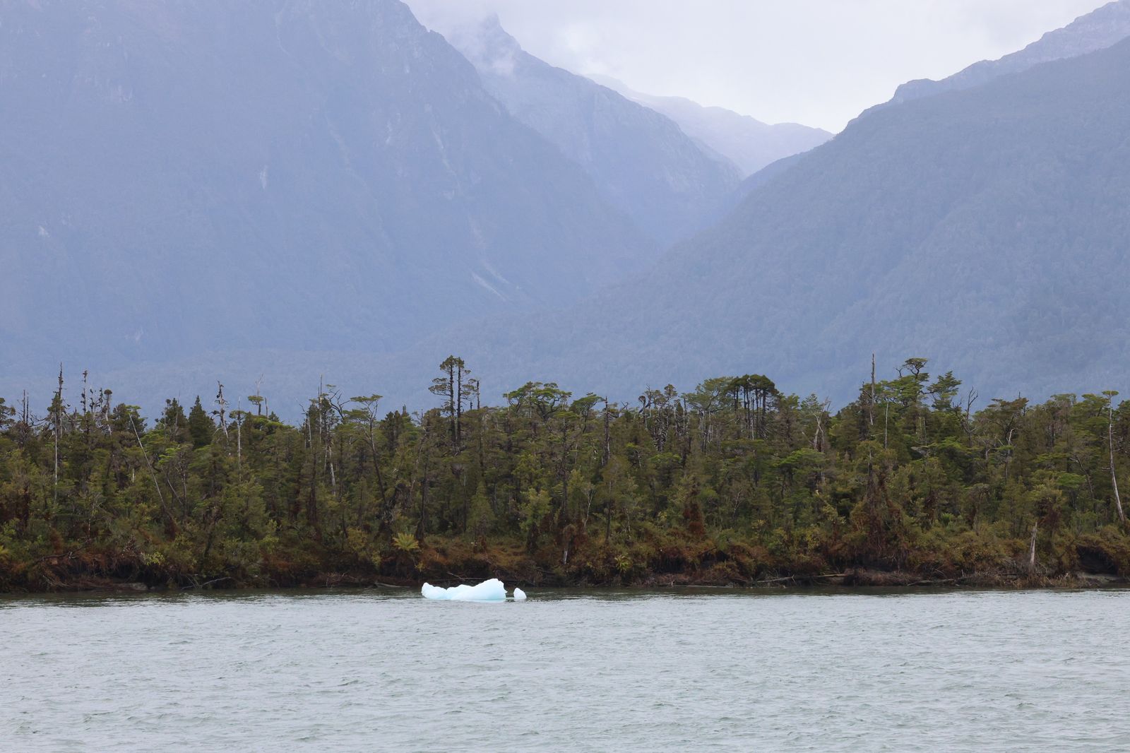 Ice by the shore, the Andes above the fjord