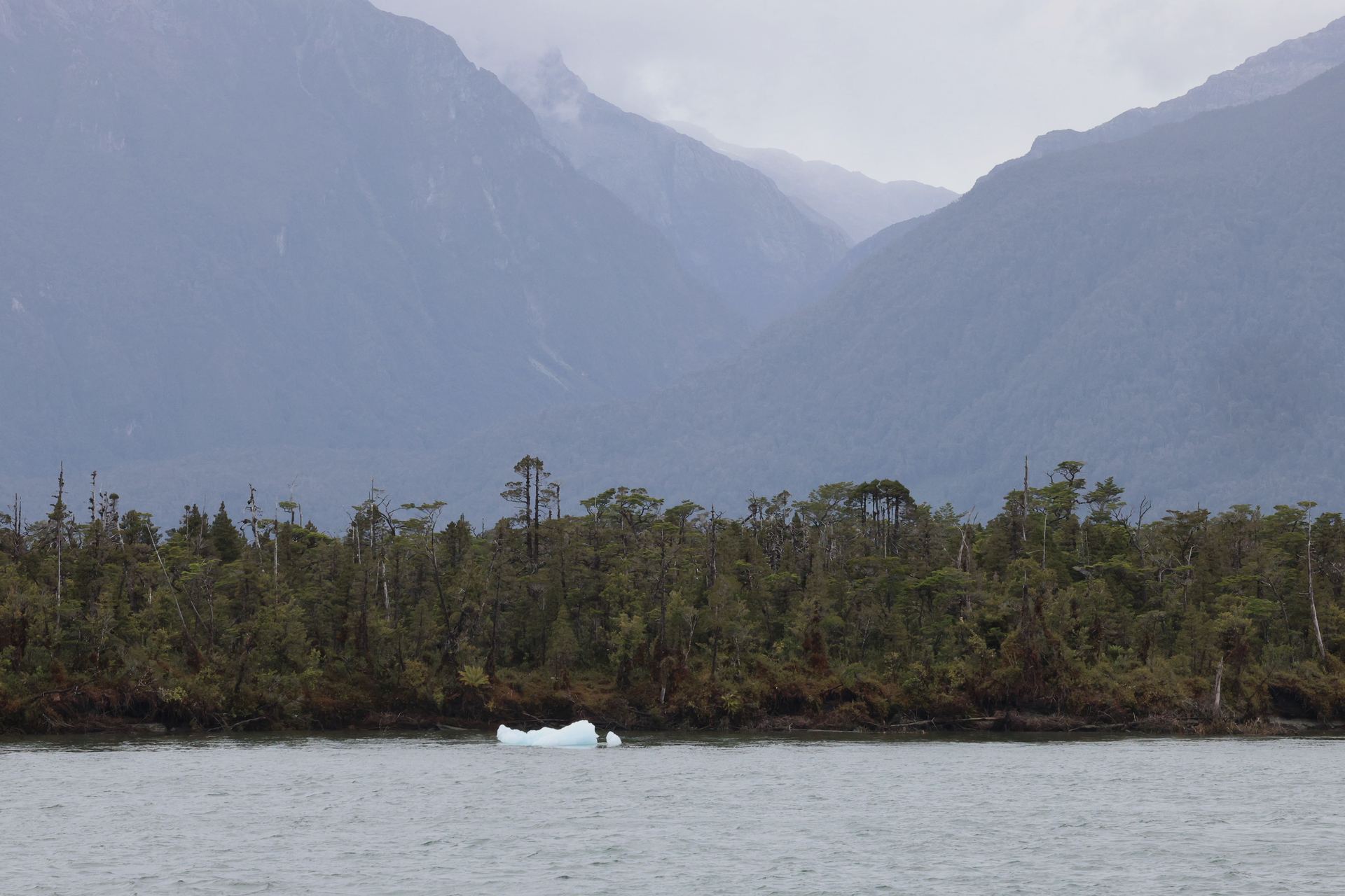 Misty Andean peaks above a fjord