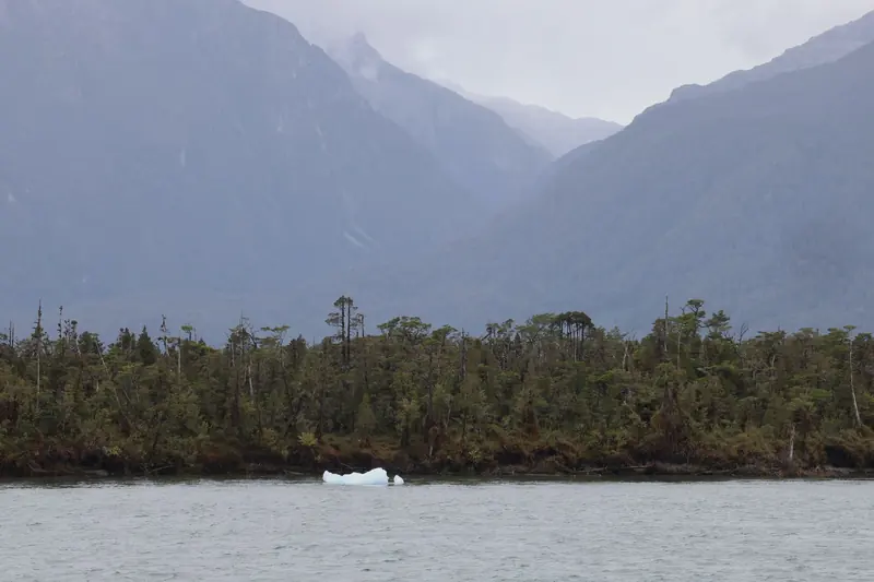 The glacier from the deck of a large catamaran