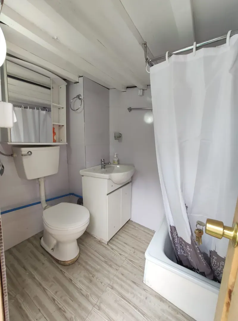 Bathroom on Patagonia I: toilet, washbasin and shower with a curtain