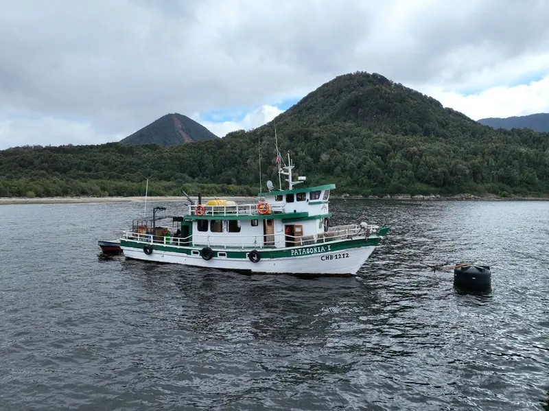 The Patagonia I anchored in the fjord below forested hills